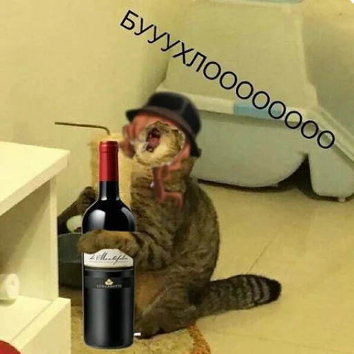 🍷 Стикер «бродячие псы» для Telegram