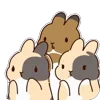 Стикер 12 Bunny