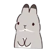 Стикер 41 Bunny