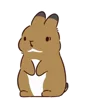 Стикер 49 Bunny