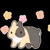Обложка набора Bunny