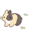 Стикер 18 Bunny