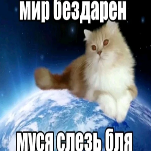 🗺 Стикер «burda 88» для Telegram