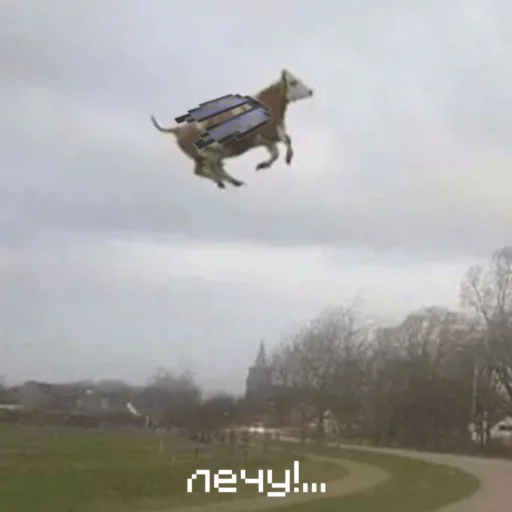 ✈️ Стикер «БУРЁНОЧЕК» для Telegram
