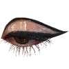 👁️ Эмодзи «burgundy and white» для Telegram