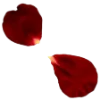 🌹 Эмодзи «burgundy and white» для Telegram