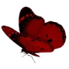 🦋 Эмодзи «burgundy and white» для Telegram