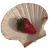 🐚 Эмодзи «burgundy and white» для Telegram