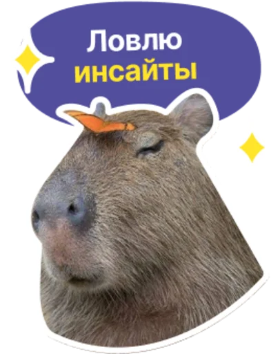 🙏 Стикер «Бизнес.Поколение» для Telegram