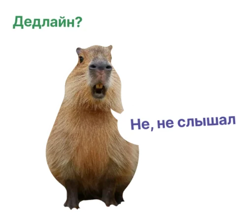 ⏰ Стикер «Бизнес.Поколение» для Telegram
