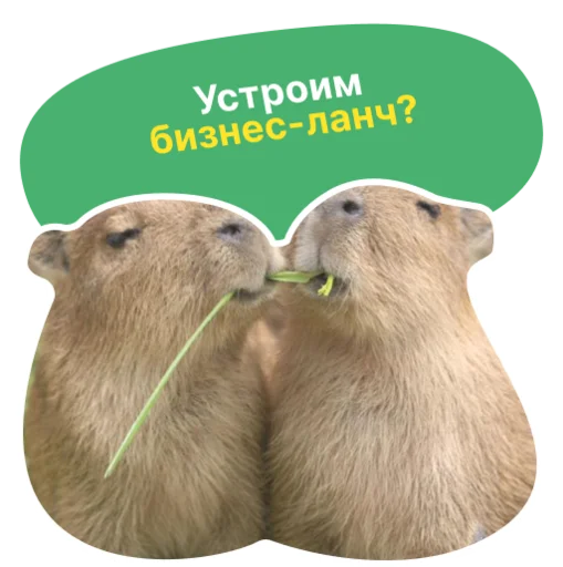 🥐 Стикер «Бизнес.Поколение» для Telegram