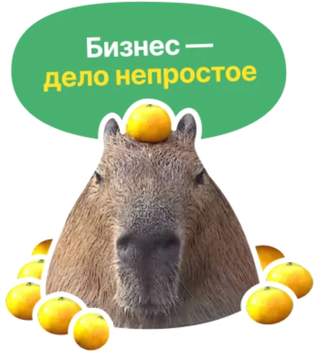 Стикерпак Бизнес.Поколение для Telegram