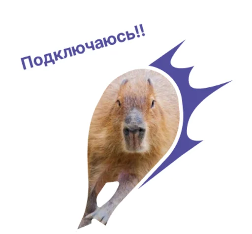 ⚡️ Стикер «Бизнес.Поколение» для Telegram
