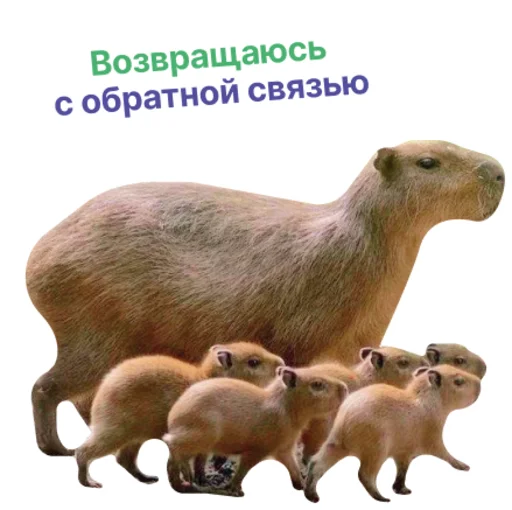 🏃 Стикер «Бизнес.Поколение» для Telegram