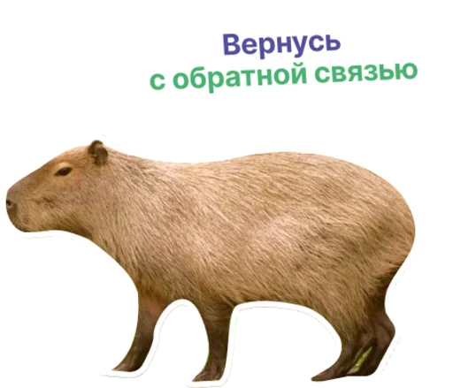 👌 Стикер «Бизнес.Поколение» для Telegram