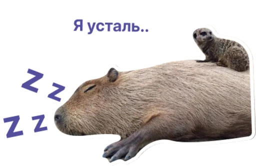 😴 Стикер «Бизнес.Поколение» для Telegram
