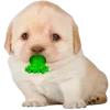 Стикер 12 😎 собакены