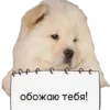 Стикер 27 😎 собакены
