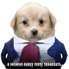 Стикер 52 😎 собакены