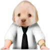 Стикер 7 😎 собакены