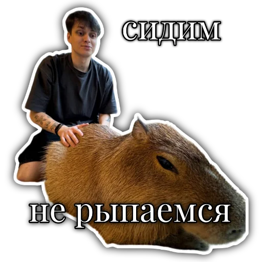 🦫 Стикер «Бустер» для Telegram
