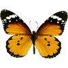 Стикер 43 🦋 Набор эмоджи с бабочками
