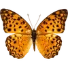 Стикер 26 🦋 Набор эмоджи с бабочками