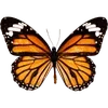 Стикер 12 🦋 Набор эмоджи с бабочками