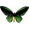 Стикер 49 🦋 Набор эмоджи с бабочками