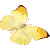 Стикер 38 🦋 Набор эмоджи с бабочками
