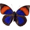 Стикер 27 🦋 Набор эмоджи с бабочками