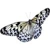 🦋 Эмодзи «🦋 Набор эмоджи с бабочками» для Telegram