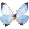Стикер 18 🦋 Набор эмоджи с бабочками