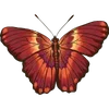 Стикер 50 🦋 Набор эмоджи с бабочками