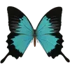 Стикер 29 🦋 Набор эмоджи с бабочками