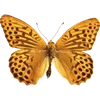 Стикер 20 🦋 Набор эмоджи с бабочками