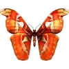 Стикер 54 🦋 Набор эмоджи с бабочками