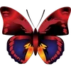 Стикер 30 🦋 Набор эмоджи с бабочками