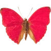 Стикер 21 🦋 Набор эмоджи с бабочками