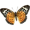 Стикер 58 🦋 Набор эмоджи с бабочками