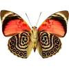 Стикер 14 🦋 Набор эмоджи с бабочками