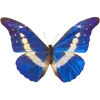 Стикер 7 🦋 Набор эмоджи с бабочками