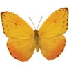Стикер 22 🦋 Набор эмоджи с бабочками
