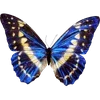 Стикер 17 🦋 Набор эмоджи с бабочками