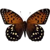 Стикер 45 🦋 Набор эмоджи с бабочками
