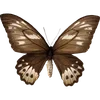 Стикер 33 🦋 Набор эмоджи с бабочками