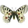 Стикер 3 🦋 Набор эмоджи с бабочками