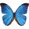 Стикер 41 🦋 Набор эмоджи с бабочками
