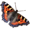 Стикер 5 🦋 Набор эмоджи с бабочками