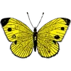 Стикер 32 🦋 Набор эмоджи с бабочками